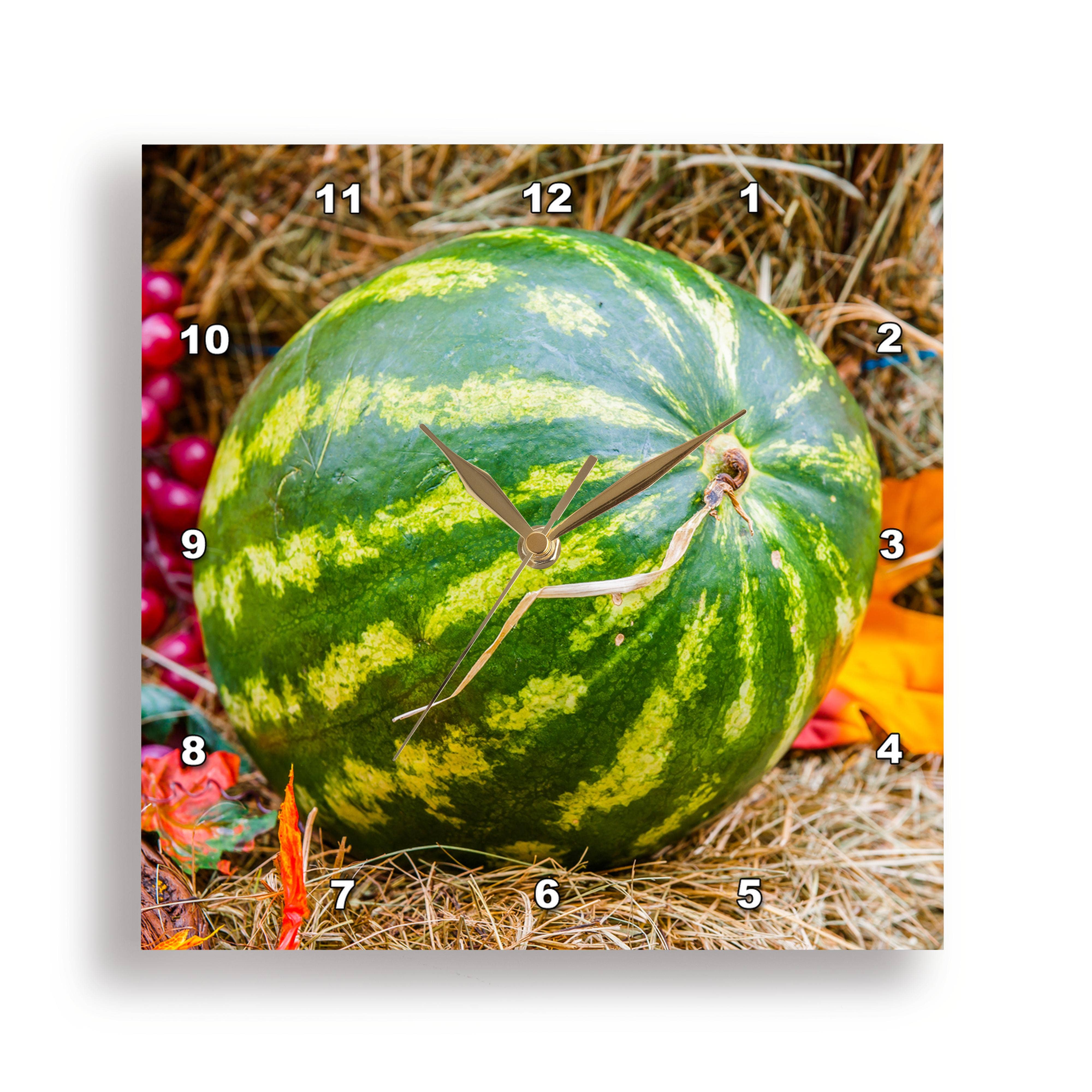 3dRose - Wholesale Wall Clock - 3dRose, Green fresh watermelon on hay, Wall Clock