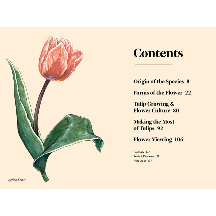 Paige Tate & Co. – wholesale Nature & outdoors book – Tulips: A Little Book of Flowers (Valentines, Galentines)1
