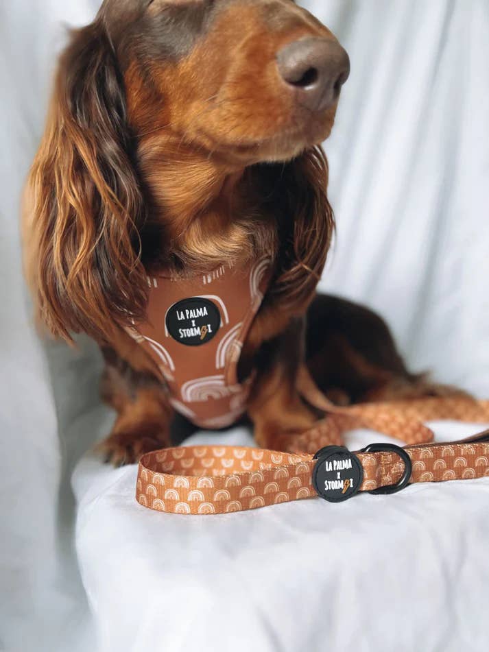 Airlee Lead for wholesale by La Palma Rhode