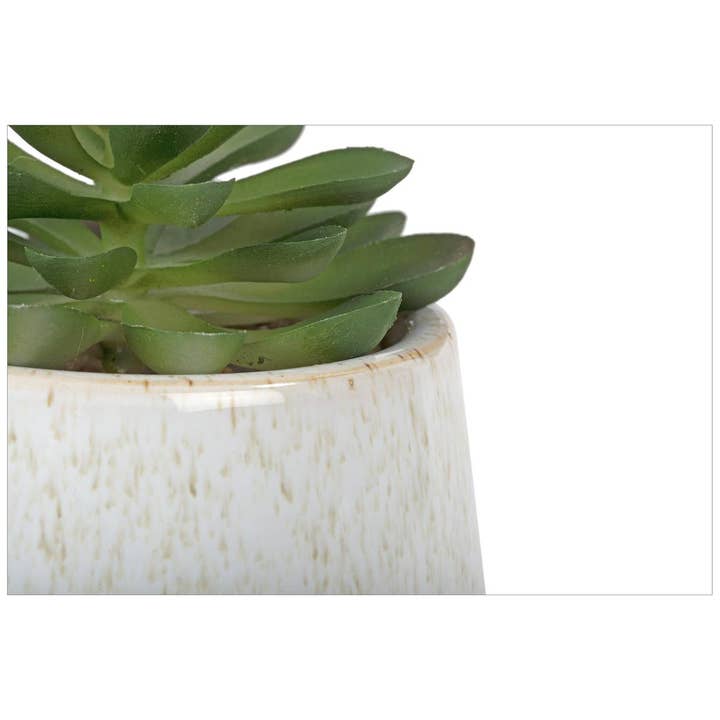 Truu Design - Wholesale Succulent - Truu Design Truu Desig Faux Succulent in 4" Ceramic Pot2