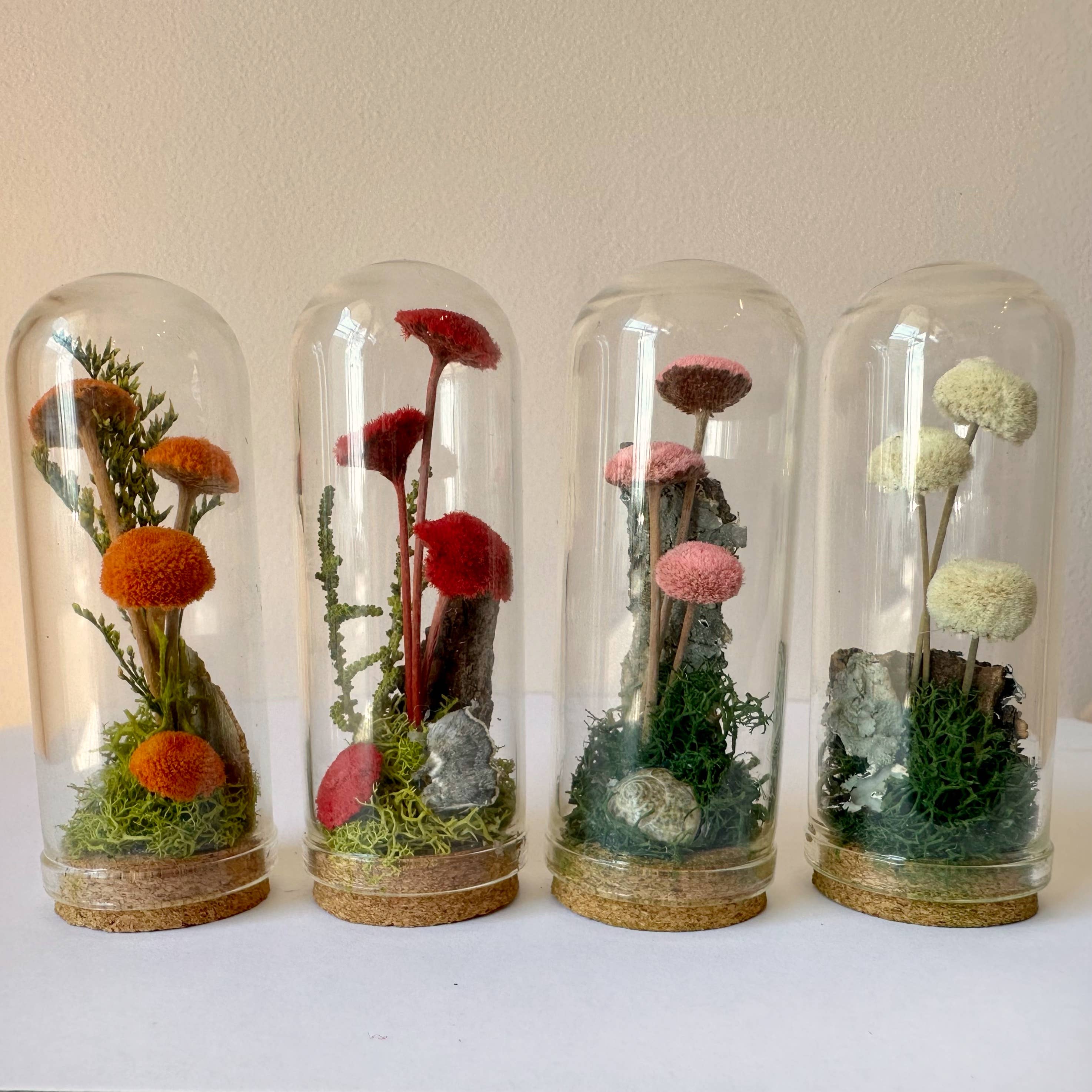 CA Studios - Wholesale Terrarium - Mushroom Mix Terrarium Glass Cloche Cork Jar & Florals10