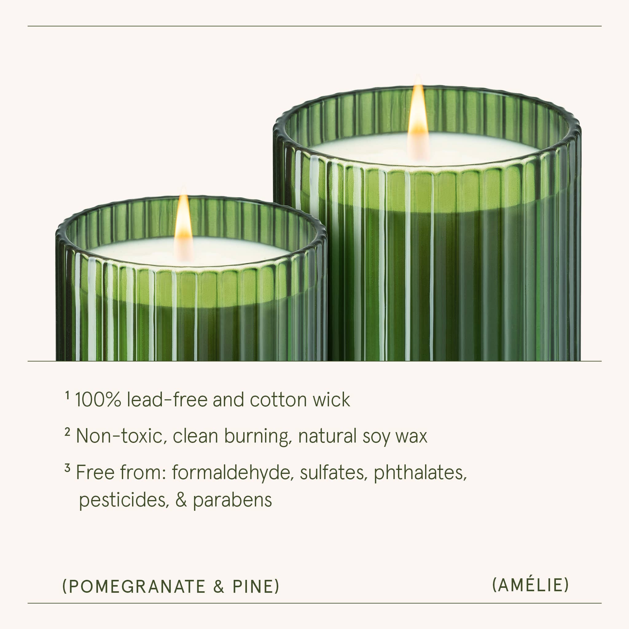 La Jolie Muse - Wholesale Jar/Filled Candle - Scented Candle - Pomegranate & Pine 11oz | La Jolie Muse3