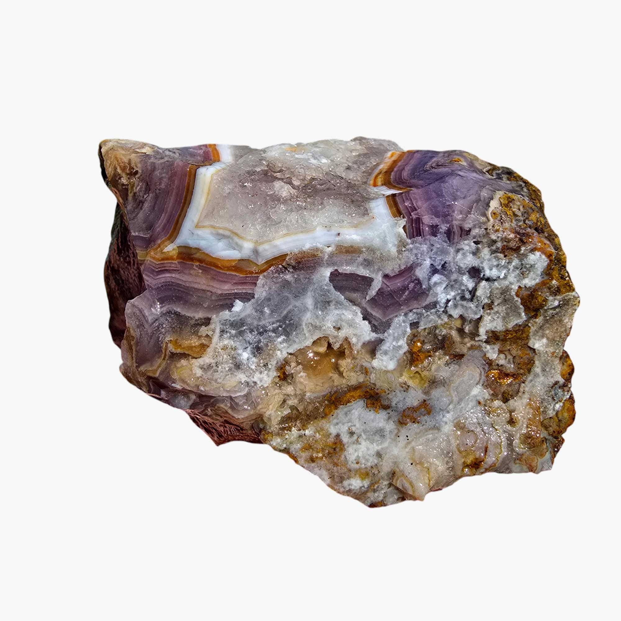 Lapidary Central – wholesale Andlig sten/kristall – Agua Nueva Agat Nytt Vatten Agat Rå Bit5