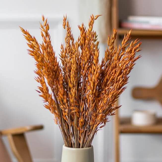 Botte Avoine orange pour la vente par Flowrette