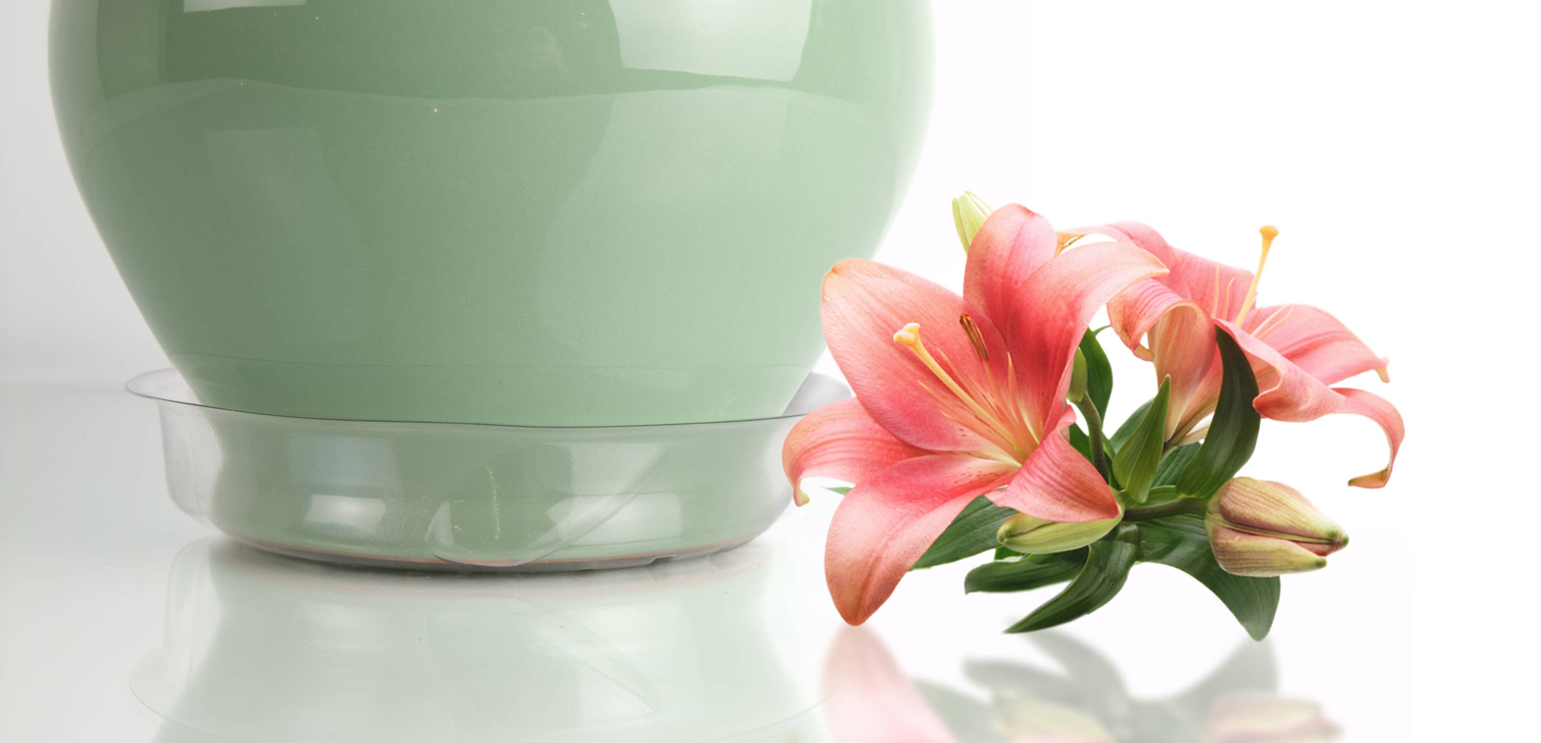 Plastec Products - Wholesale Saucer - Liteline Saucer 6"1