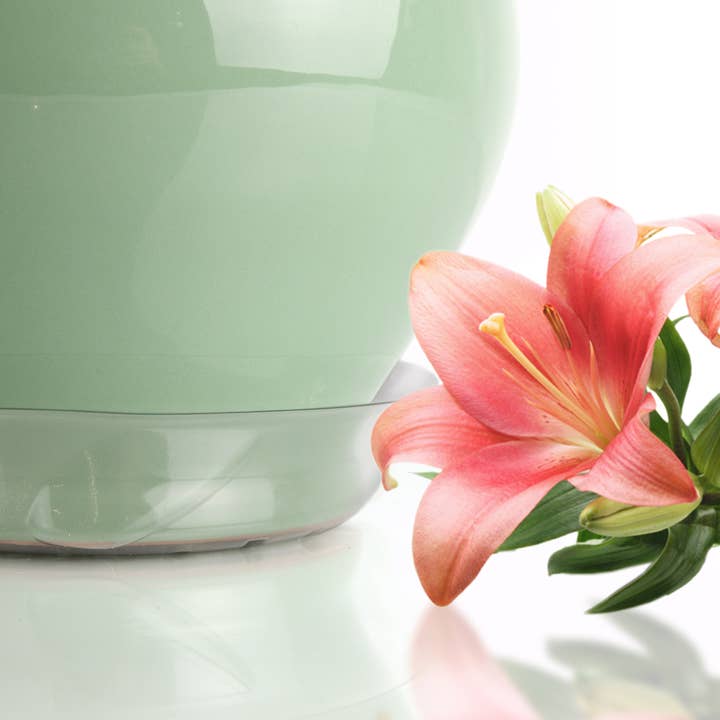 Plastec Products - Wholesale Saucer - Liteline Saucer 6"1