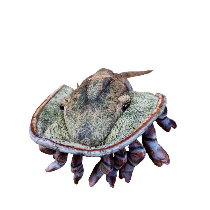 Texas Toy Distribution - Wholesale Stuffed/Plush Toy - Kids & Baby - Horseshoe Crab 17.75" Plush Aquatic Stuffed Animal