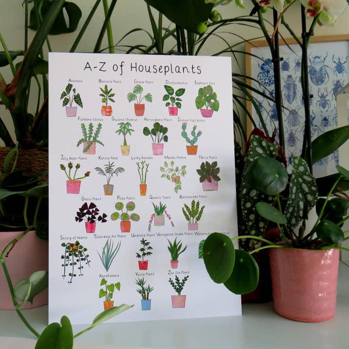 A-Z of Houseplants' A4 and A3 Prints for wholesale by Kathryn Churn Designs