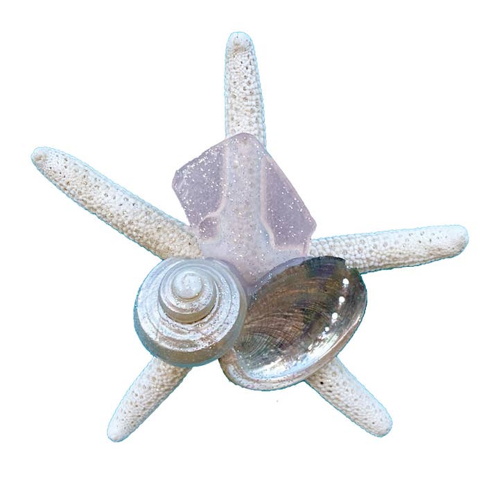 California Seashell Company - Wholesale Magnet - Sea Glass White Finger Starfish Collage Magnet