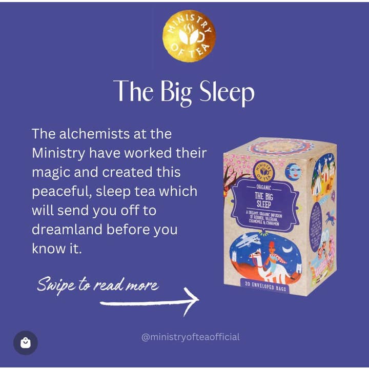 Stella Foods s.r.l. - Wholesale Health/Detox Tea - The Big Sleep Organic MINISTRY OF TEA infusion 30g 20 filters2