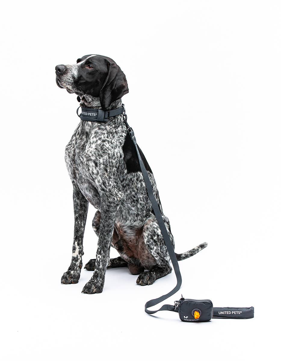 United Pets - Wholesale Hondenriem - Hond - Zachte hondenriem met gewatteerd handvat17