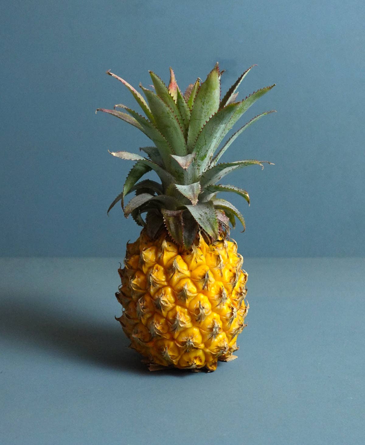 Roomberry - Wholesale Coasters - Pineapple Coaster – Tropical Design with 9 Coasters for Stylish Protection on Your Table3