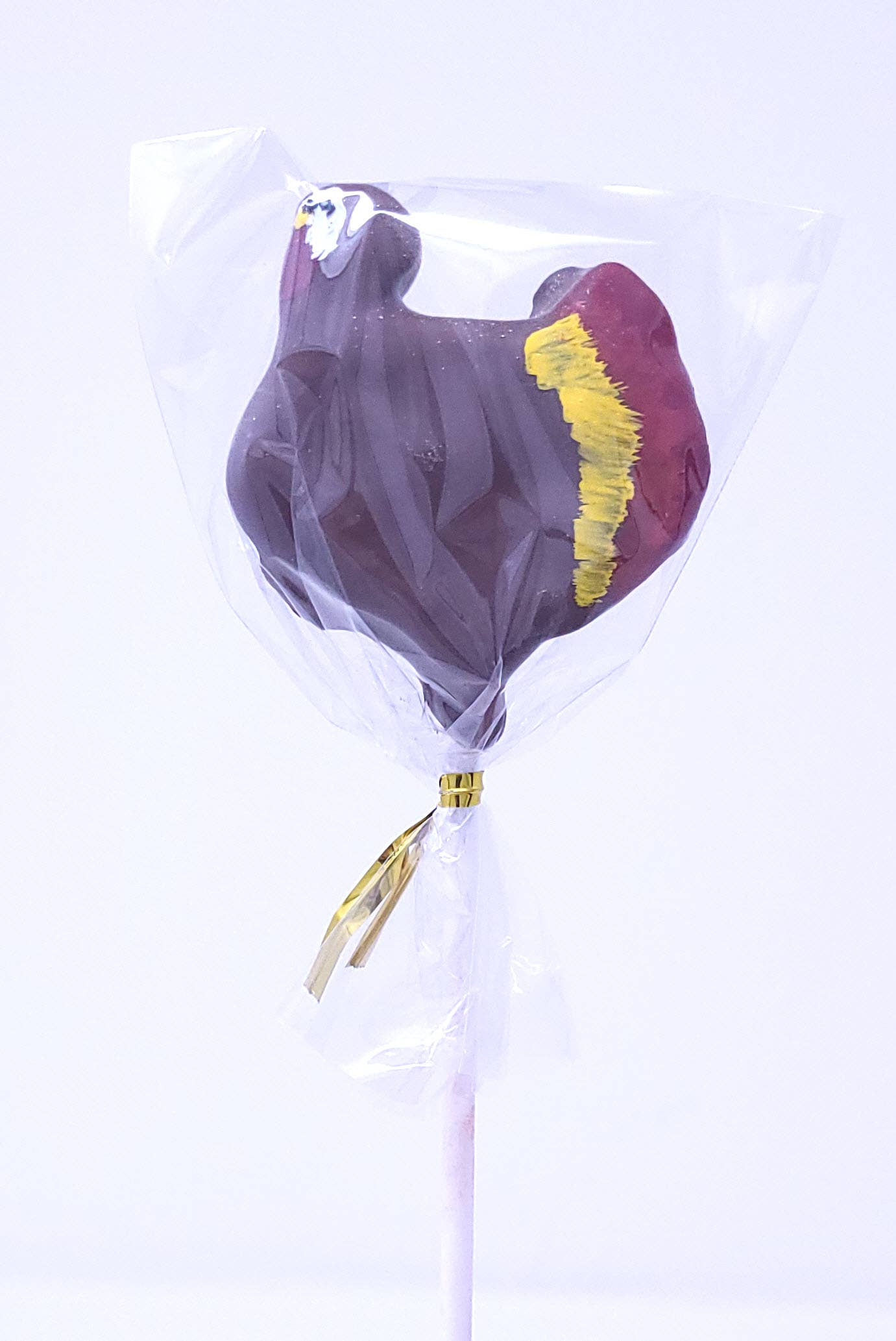 Wild Angel Treats, LLC - Wholesale Chocolate Covered Sweets - Designer Cake Pops - Hand-painted Autumn/Thanksgiving Turkey1