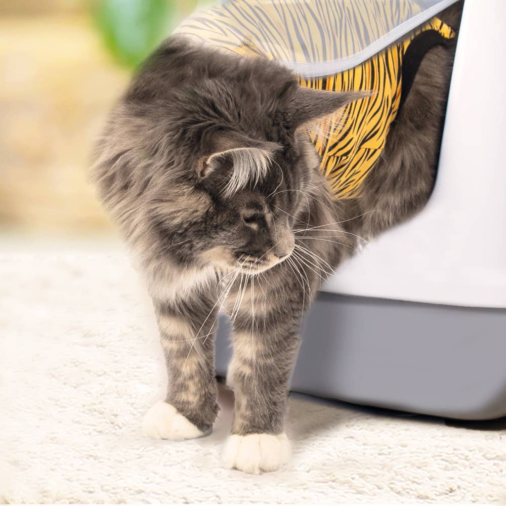 Suitical – wholesale Pet bodysuit – Cat/dog – Recovery Suit - Cat7