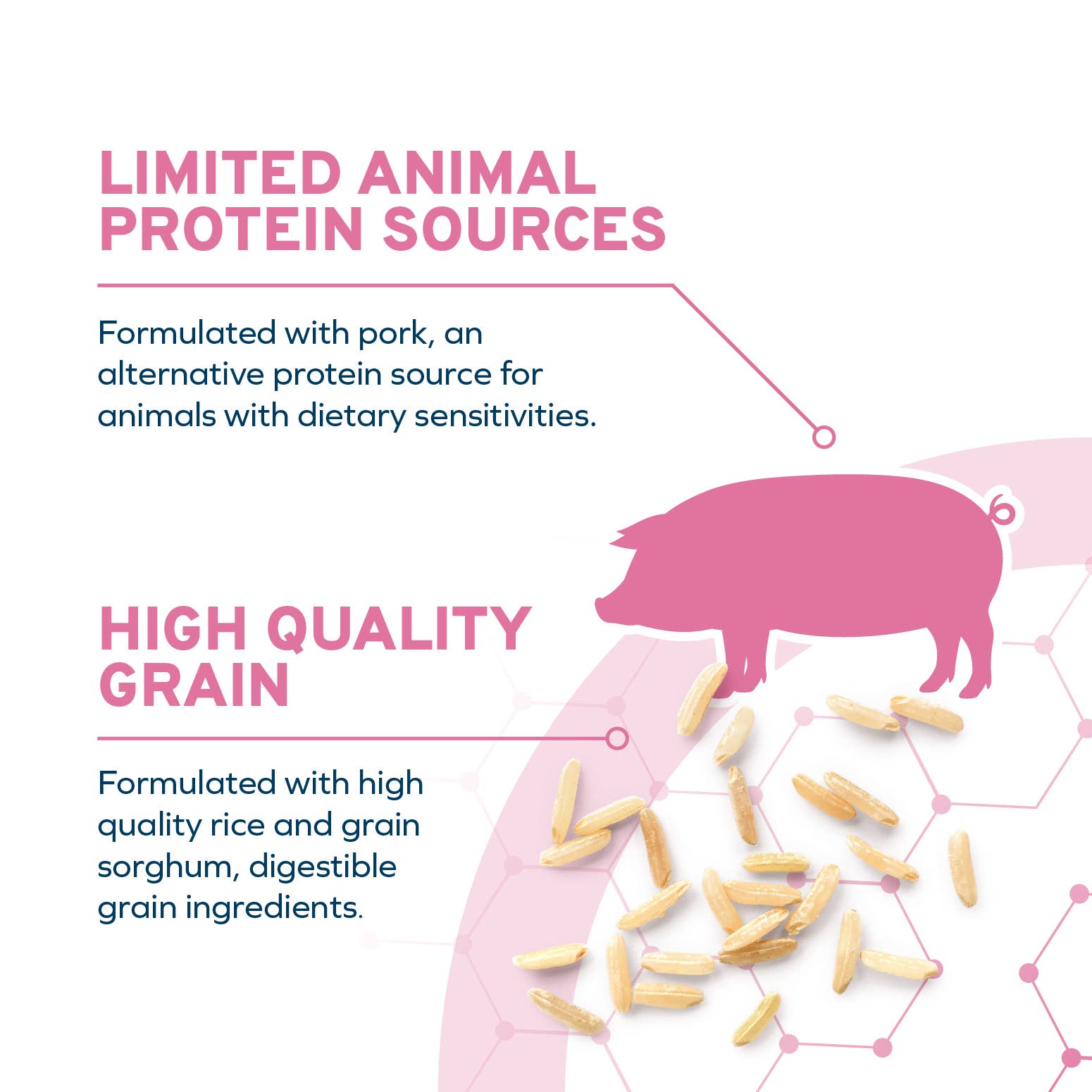 Forza10 Pet Food - Wholesale Pet Food - Dog - FORZA10 DAILYPRO MAINTENANCE MEDIUM BREED GRAIN-FREE2