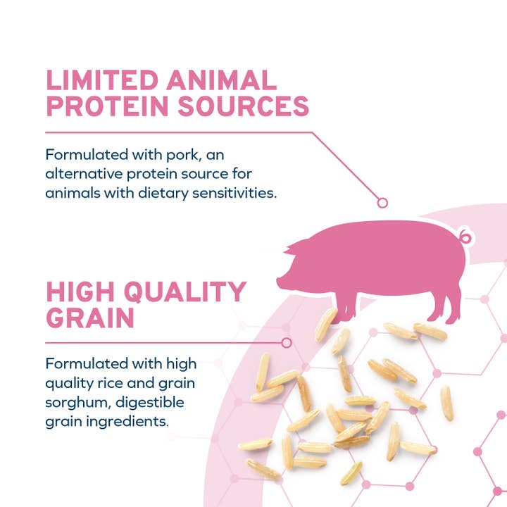 Forza10 Pet Food - Wholesale Pet Food - Dog - FORZA10 DAILYPRO MAINTENANCE MEDIUM BREED GRAIN-FREE2