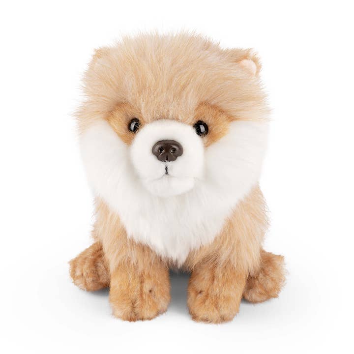 Levende natuur Pommeren voor wholesale door Living Nature