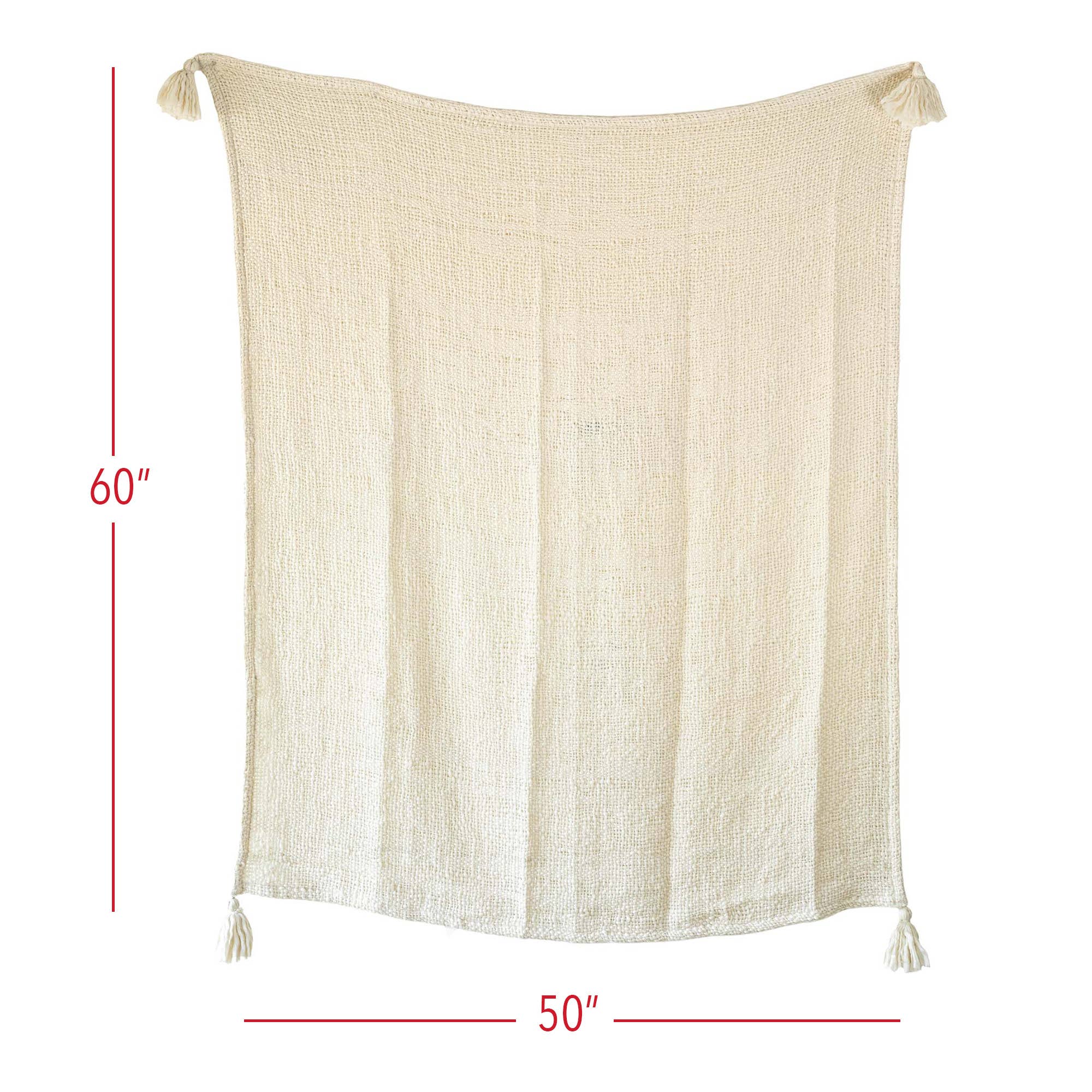 Foreside Home & Garden - Wholesale Throw Blanket - Mel Hand Woven Tasseled Throw Blanket Cream Polyester3