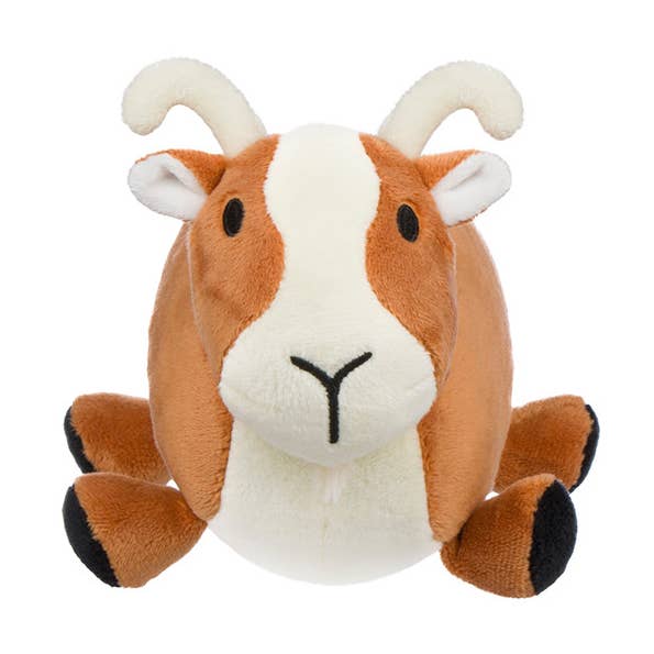 Animaux de la ferme - Chèvre pour la vente par Aliquantum International Inc.