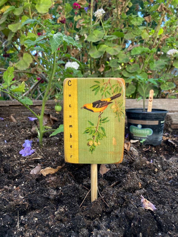 Marcador Oriole Jardim com Capuz, Personalizável, Arte do Jardim por atacado de Streetlightbirds