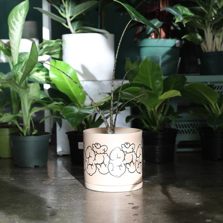 Soul of the Party - Wholesale Plant Pot - Om Aum Planter | Spiritual Gift 🕉