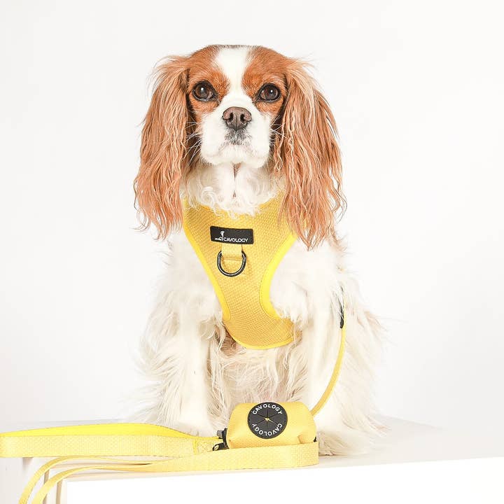 DOG HARNESS ADJUSTABLE NECK - Yellow FABRIC WEAVE EFFECT for wholesale by Cavology