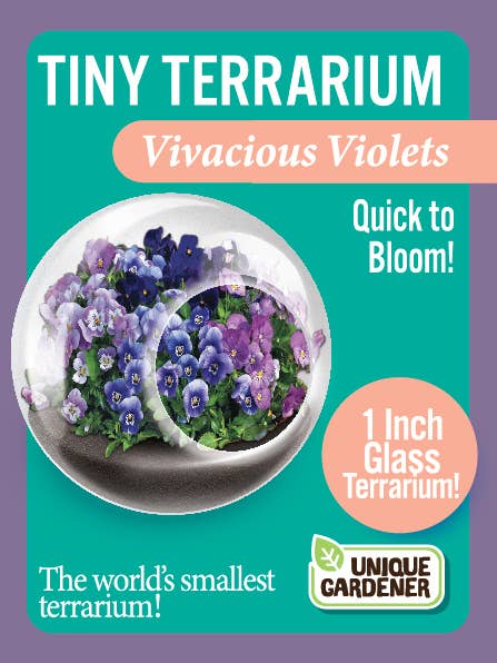 Tiny Terrarium - Vivacious Violet Flowers for wholesale by Silver Circle Products
