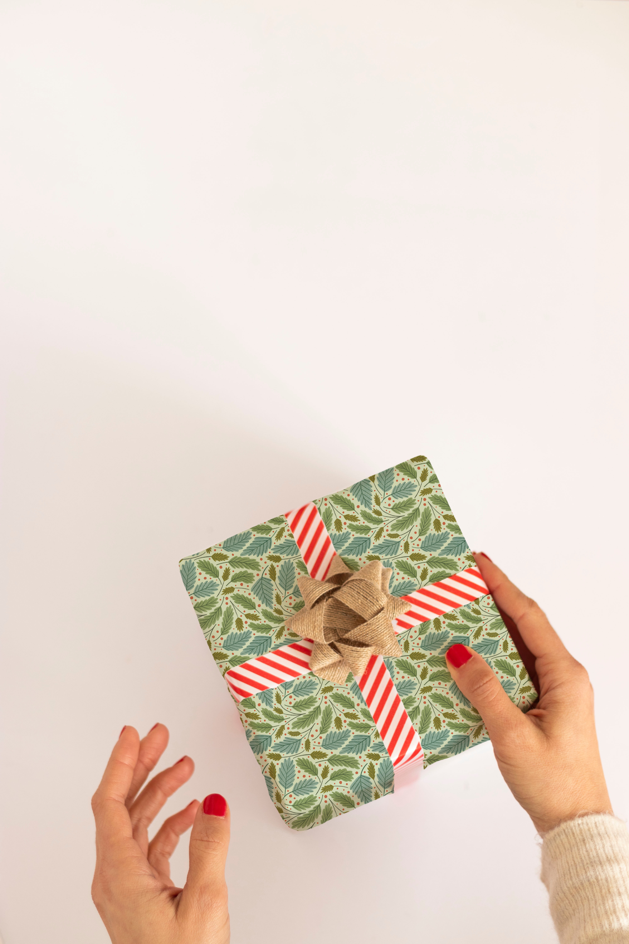 Rebecca Jane Woolbright - Wholesale Wrapping Paper Roll - Bramble Wrapping Paper – Botanical Gift Wrap (2 Sheets)3