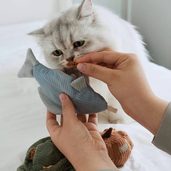 KATFOREL voor wholesale door Lambwolf Collective