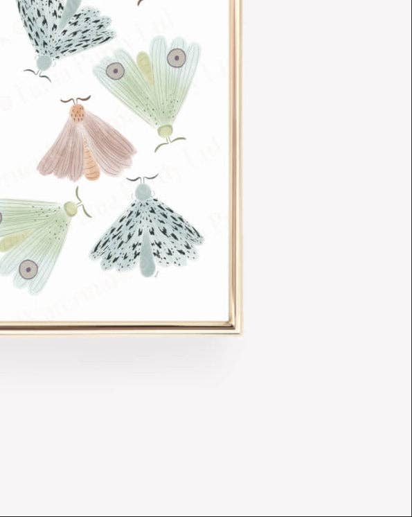 Tania Purdy – wholesale Art print – Moths1