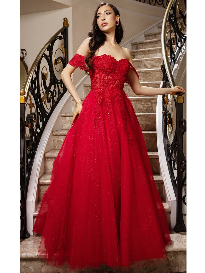 Babyfox Apparel – wholesale Gown – Women's – Off Shoulder Mesh Overlay A Line Dress4