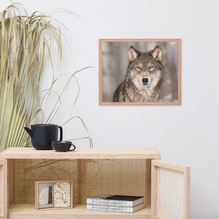Pipa Wall Art & Home Decor - Wholesale Art Print - Portrait of Gray Wolf In The Forest Wildlife Nature Framed10