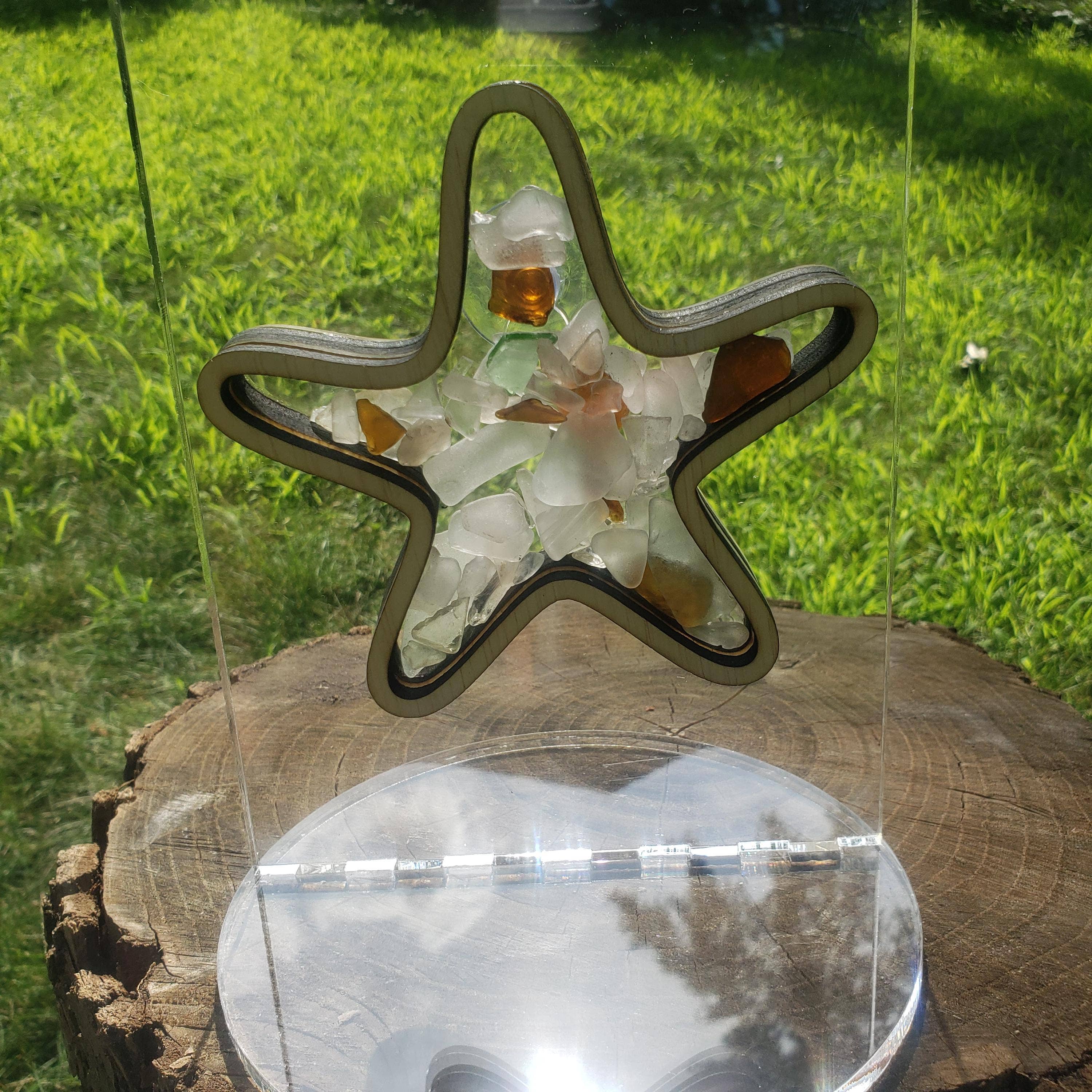 Sea Glass Displays - Vendita all'ingrosso Espositori - Espositore Shadowbox in vetro Starfish Sea 4 stili multicolore7