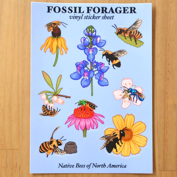 Native Bees of North America Sticker Sheet for wholesale by Fossil Forager