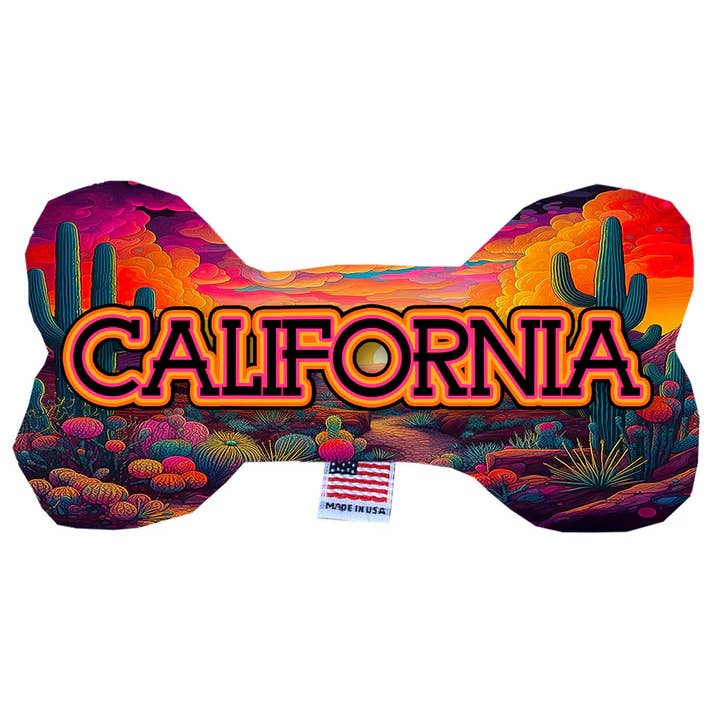 Mirage Pet Products - Wholesale Pet Chew Toy - Dog - California Neon Desert Bone Dog Toy