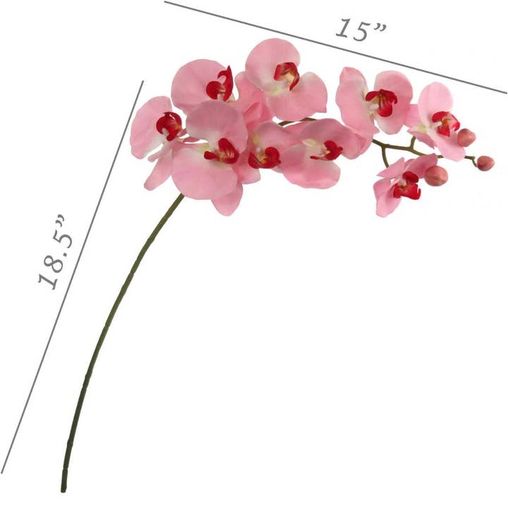 Larksilk - Wholesale Artificial flowers - Real Touch Phalaenopsis Orchid Stem: Set Of 2, 33.5-Inch3