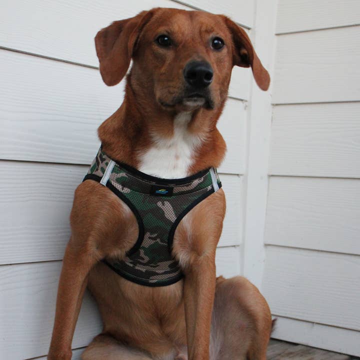 Doggie Design - Wholesale Pet Harness - Dog - American River Camouflage Dog Harness - Green Camo