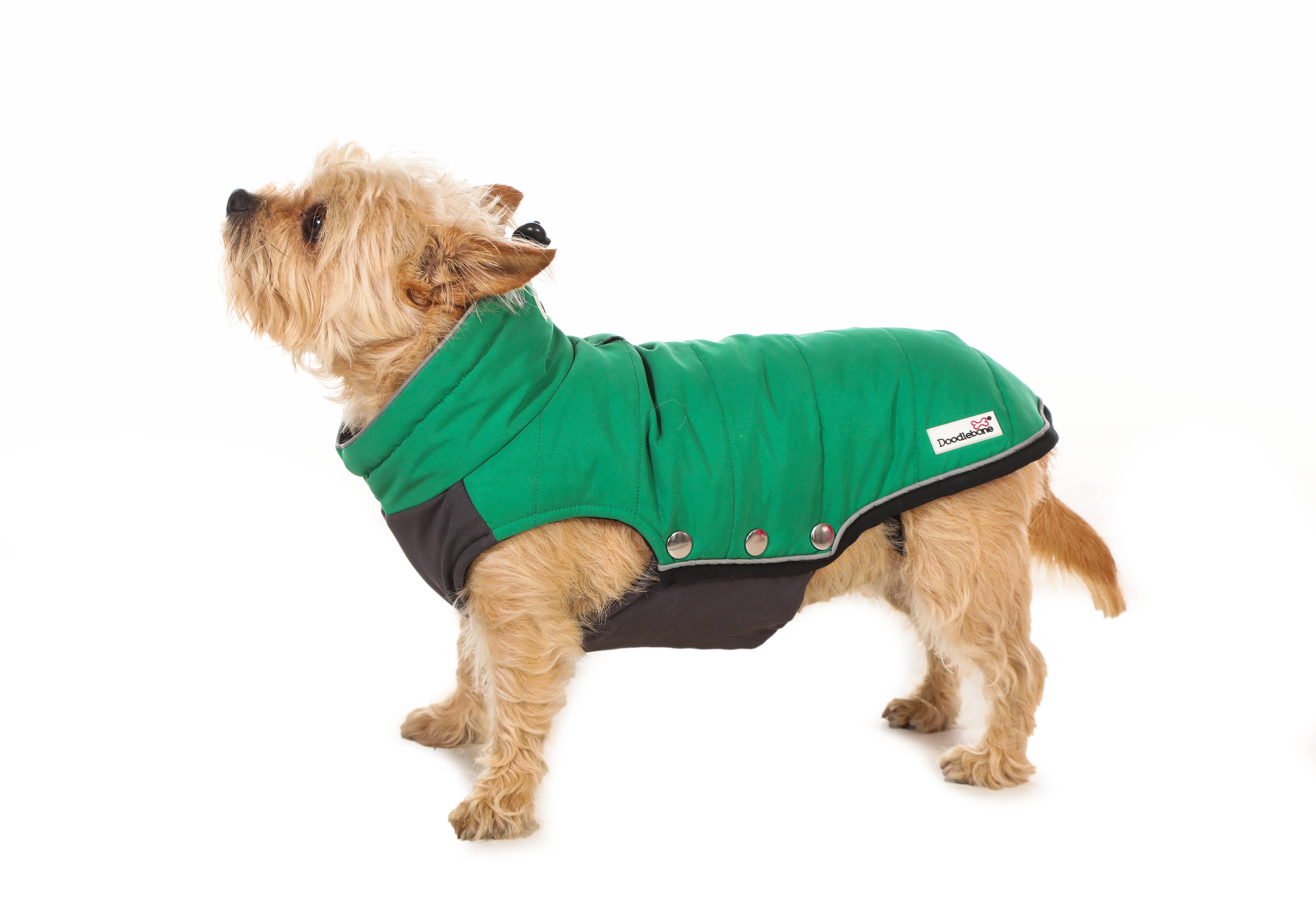 Doodlebone - Vendita all'ingrosso Giacca - Cani - Giacche imbottite per cani1