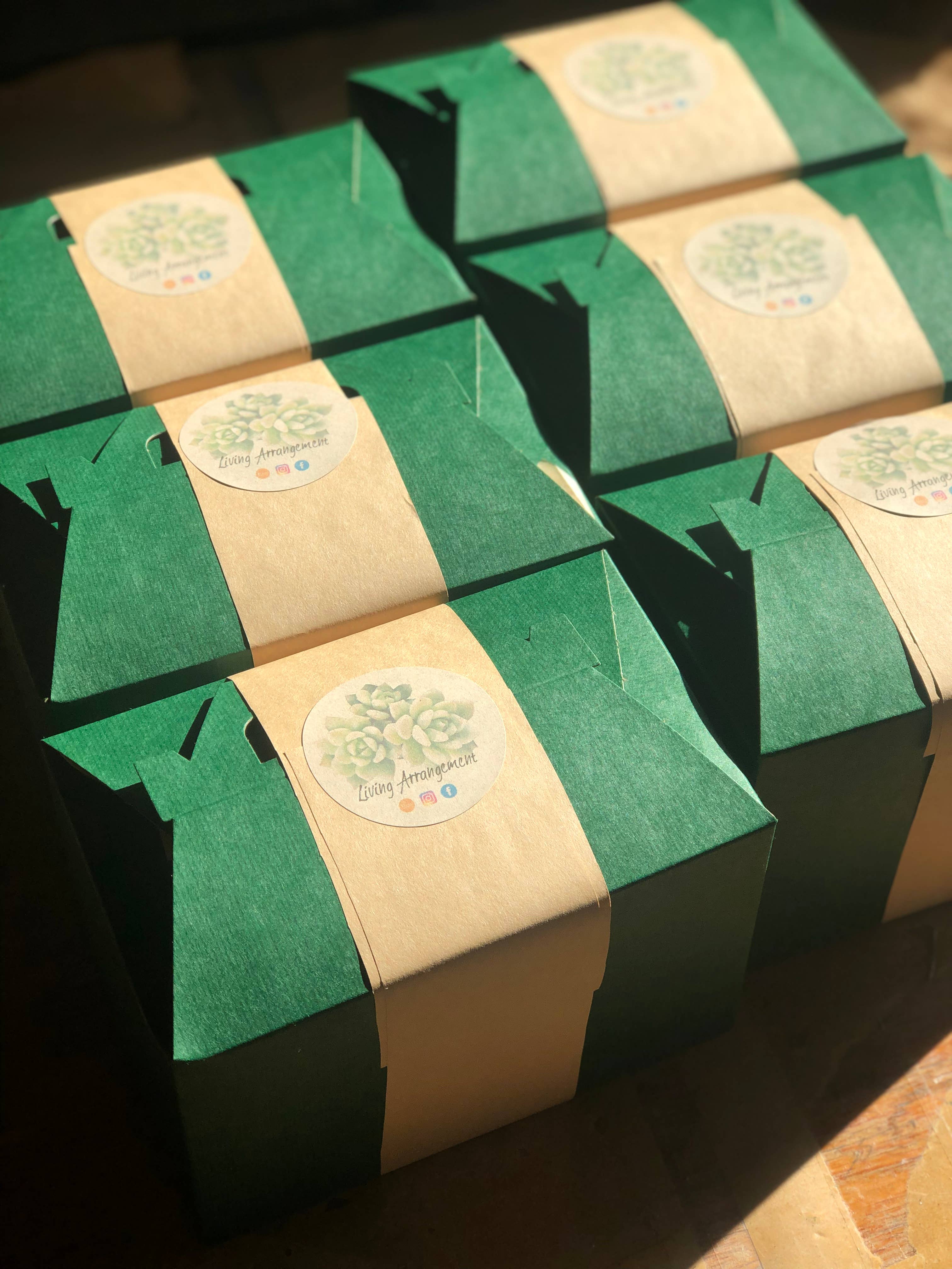 Living Arrangement - Wholesale DIY Craft Kit - Succulent Terrarium Kit Complete DIY9