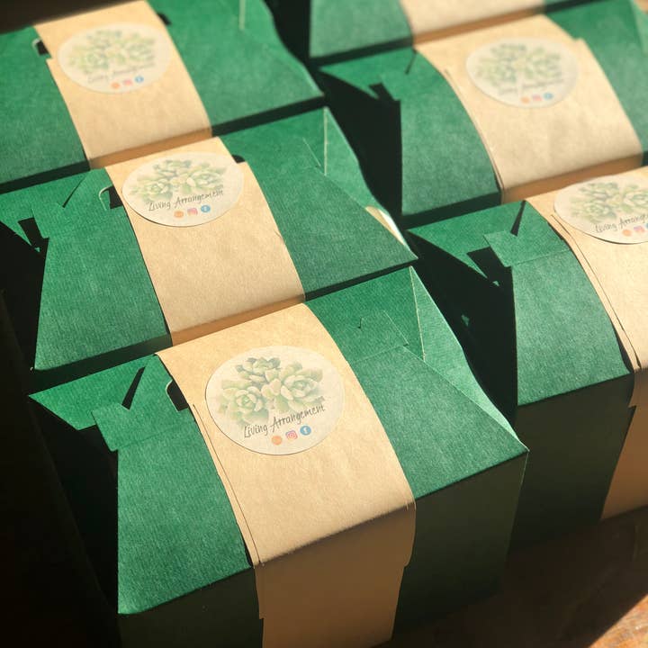 Living Arrangement - Wholesale DIY Craft Kit - Succulent Terrarium Kit Complete DIY9