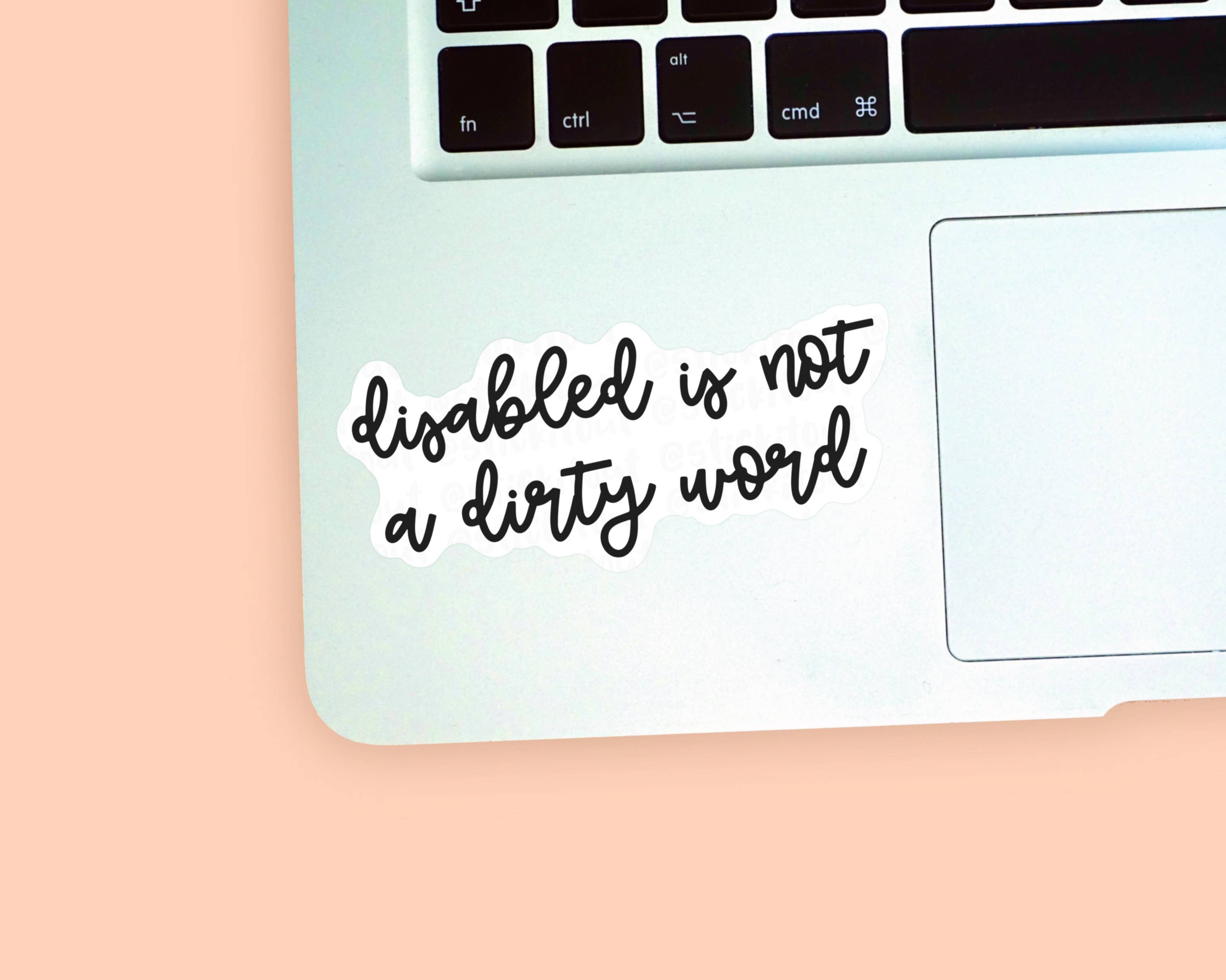 Stick It Out – wholesale Sticker – 'Disabled Is Not A Dirty Word’ Vinyl Sticker1