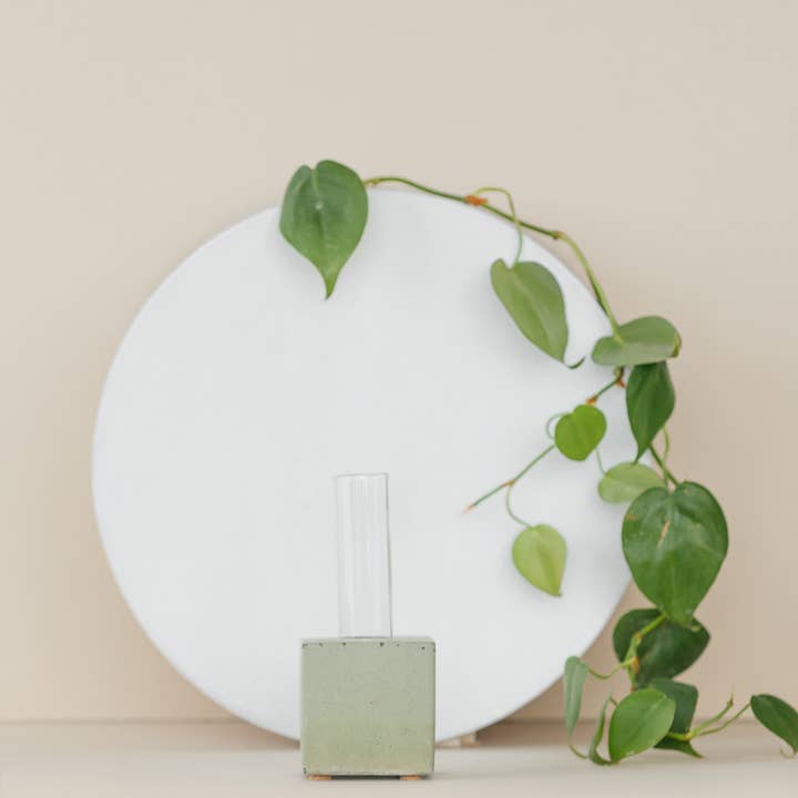 The Plant Supply - Wholesale Vase - Propagation Vase | Cutting Holder and Propagation Station1