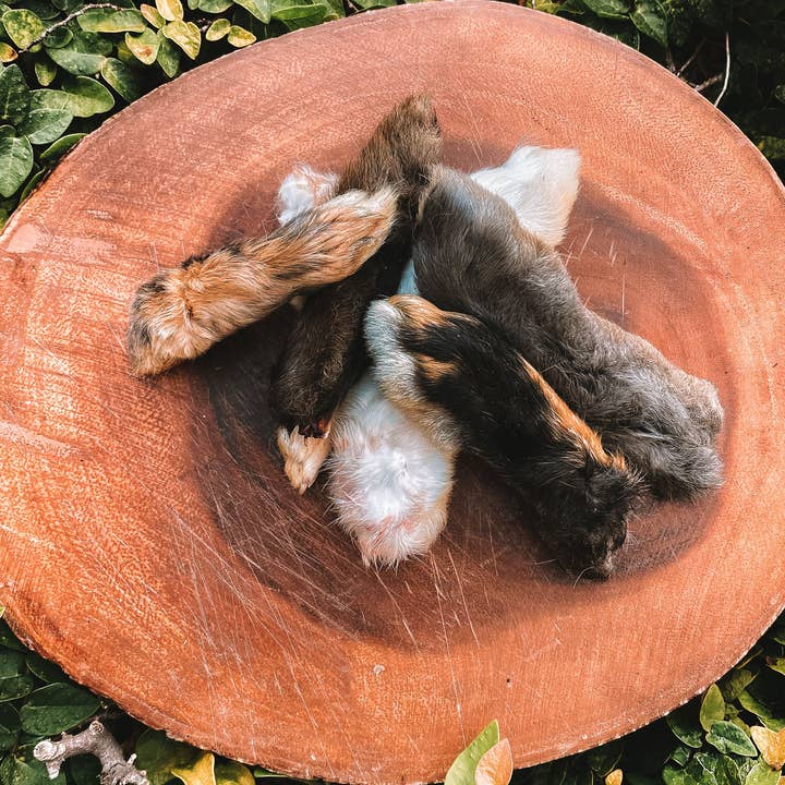 Wild n Fresh Treats - Wholesale Pet Treats - Dog - Dehydrated Rabbit Feet7