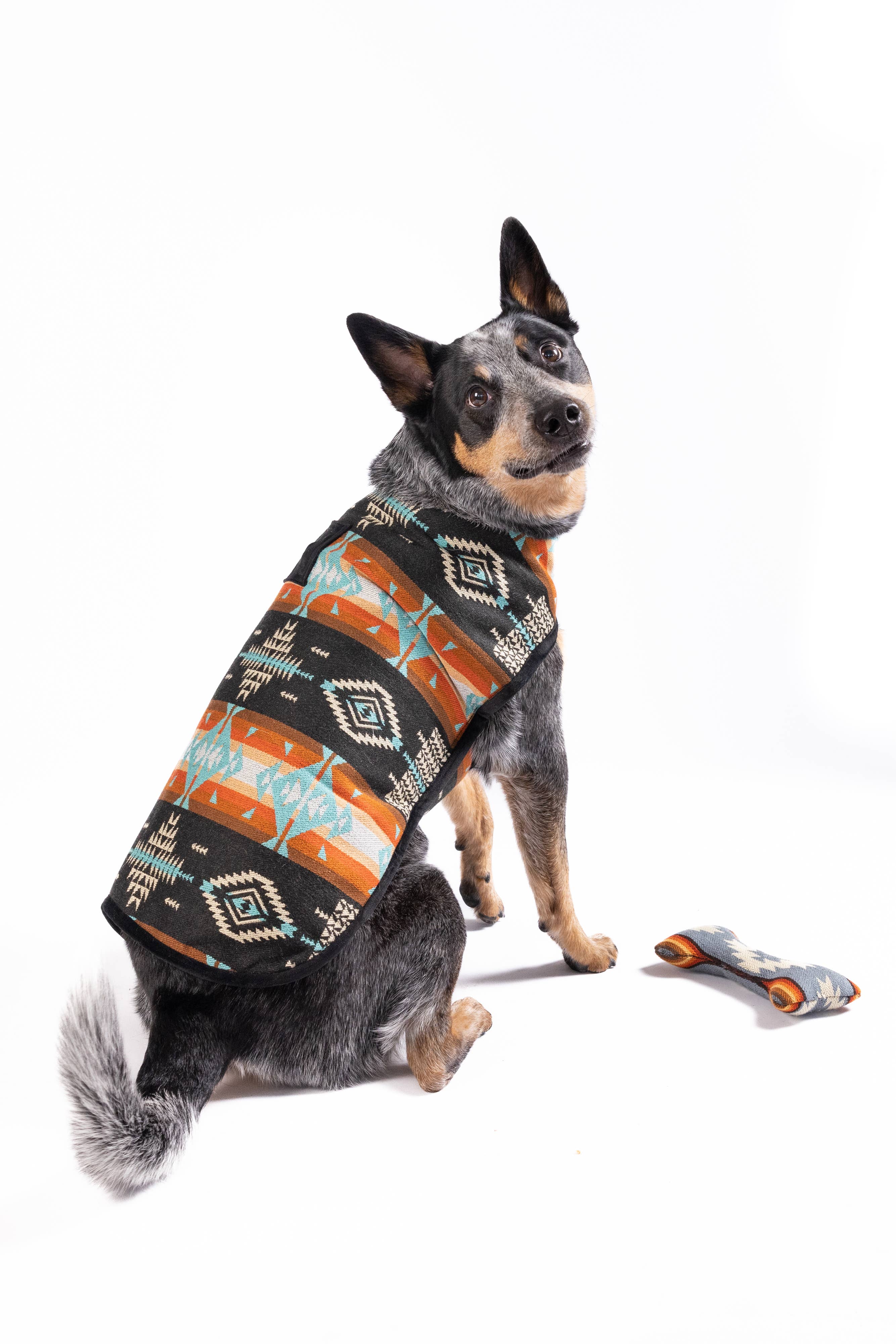 CHILLY DOG LLC - Wholesale Pet Coat - Dog - Black Canyon Dog Blanket Coat0
