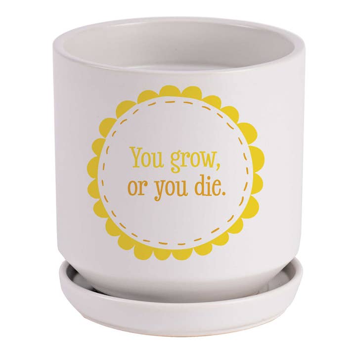 Plantar ou Crescer, ou Morrer por atacado de Magnolia