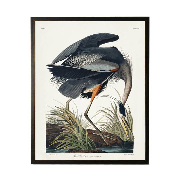 Antique Curiosities Inc - Wholesale Art Print - Blue Heron Bookplate