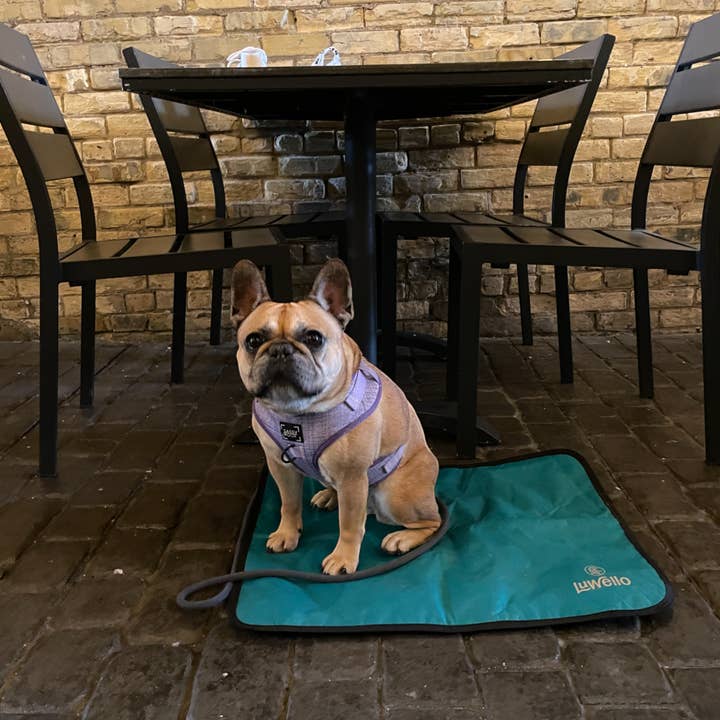 LUWELLO, LLC - Wholesale Pet Bed - Dog - Portable Dog Settle Mat13