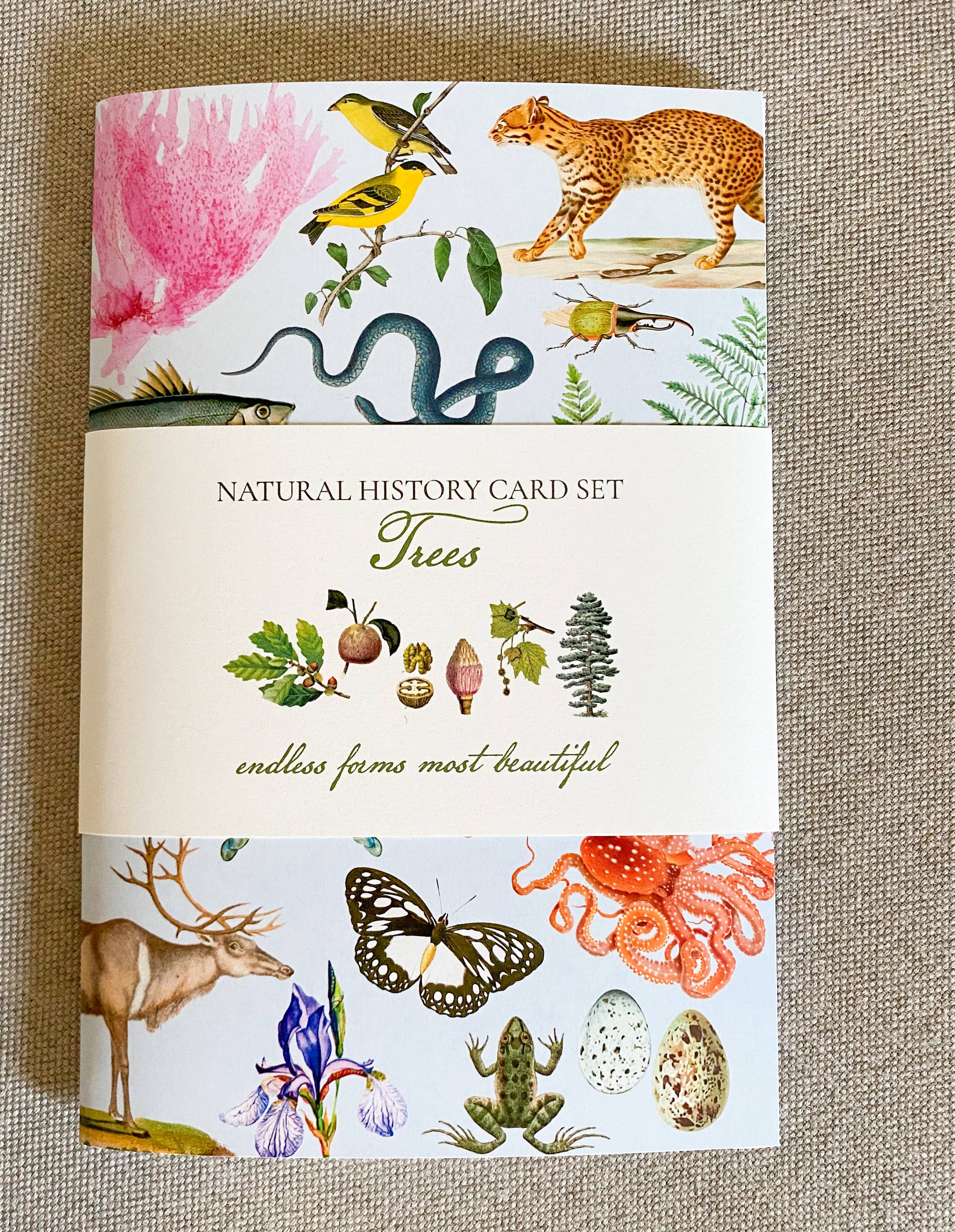 Fairhope Graphics - Vente Assortiments de papeterie/cartes - Paquet de cartes Flowering Trees1