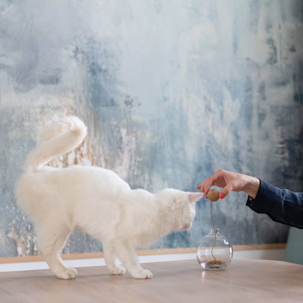 Hoopo - Wholesale Pet Toy - Cat - Tail Cat toy4