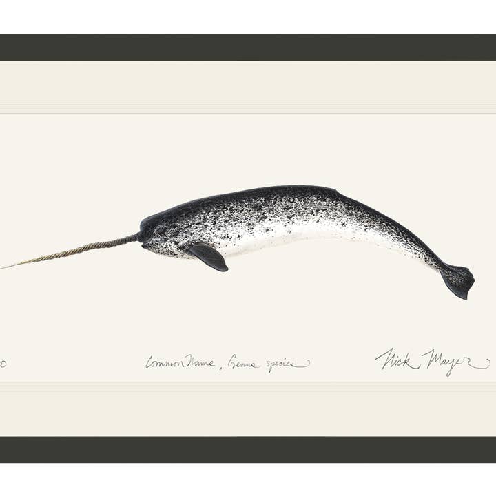 Impressão de Edição Limitada de Narval por atacado de Nick Mayer Art